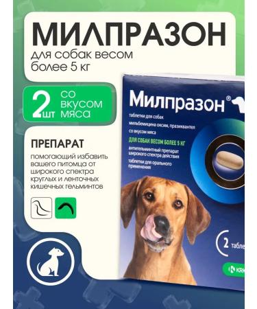 KRKA Milprazone Dog tablets more than 5 kg 2 tab