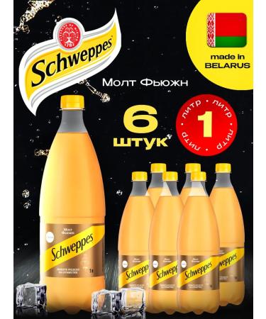 Schweppes Drink Malt Fuzn 6 pcs. 1 l