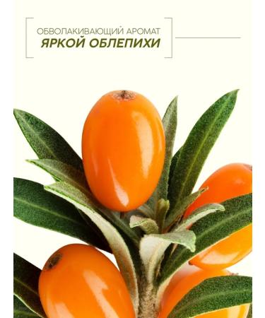 Buskids Vitamin shampoo with sea buckthorn aroma 400 ml - Buy Online on GoSupps.com