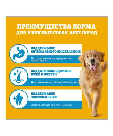 PEDIGREE Dry food for dogs with beef 6kg - Buy Online on GoSupps.com