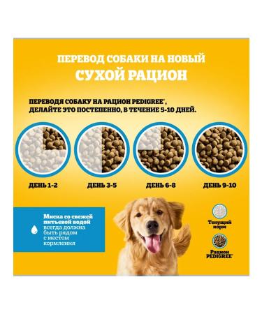 PEDIGREE Dry food for dogs with beef 6kg - Buy Online on GoSupps.com