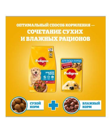 PEDIGREE Dry food for dogs with beef 6kg - Buy Online on GoSupps.com