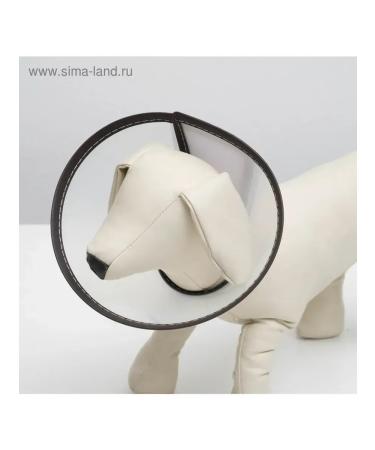 Dude Veterinary collar for little dogs - Buy Online on GoSupps.com