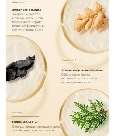 LYDIMOON Hair loss shampoo with ginger extract - Buy Online on GoSupps.com