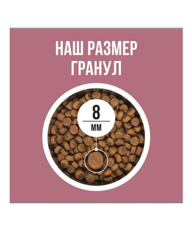 BOWL WOW Feed for sterilized cats with turkey and beets 8kg - Buy Online on GoSupps.com