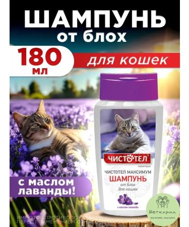 Neoterica Celandine maximum shampoo from fleas for puppies and kittens