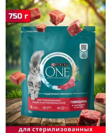 PURINA ONE Dry food for sterilized cats with beef 750 g