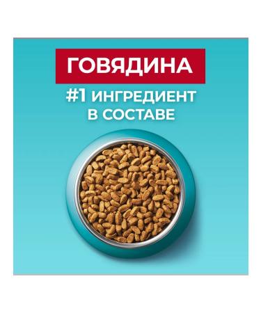 PURINA ONE Dry food for sterilized cats with beef 750 g - Buy Online on GoSupps.com