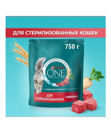 PURINA ONE Dry food for sterilized cats with beef 750 g - Buy Online on GoSupps.com