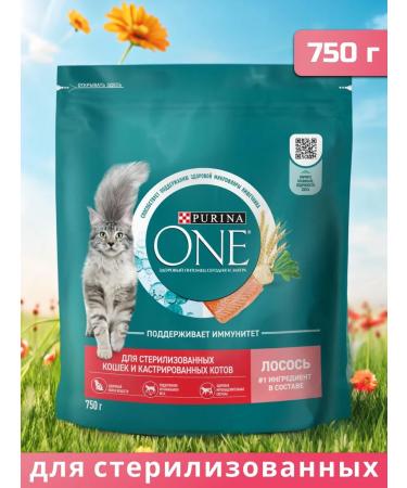 PURINA ONE Dry food for sterilized cats with salmon 750 g