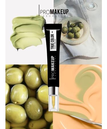 PROMAKEUP Laboratory Ajaster True color tone 02 olive olive - Buy Online on GoSupps.com