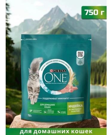 PURINA ONE Dry food for adult domestic cats with turkey 750 g
