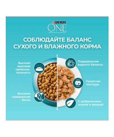 PURINA ONE Dry food for adult domestic cats with turkey 750 g - Buy Online on GoSupps.com