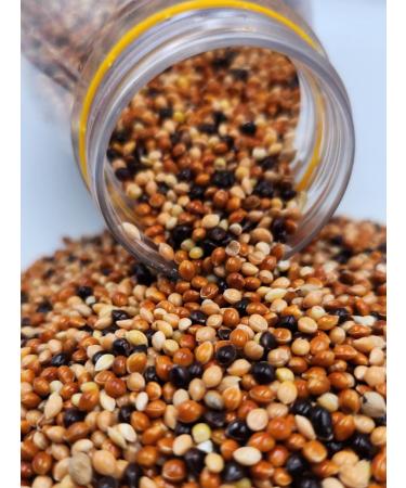 RICH RANCH Feed for parrots and birds rodents of millet mix - Buy Online on GoSupps.com
