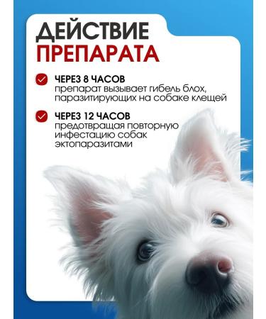 Tixfli from fleas and ticks for dogs of large rocks 40-56 kg - Buy Online on GoSupps.com