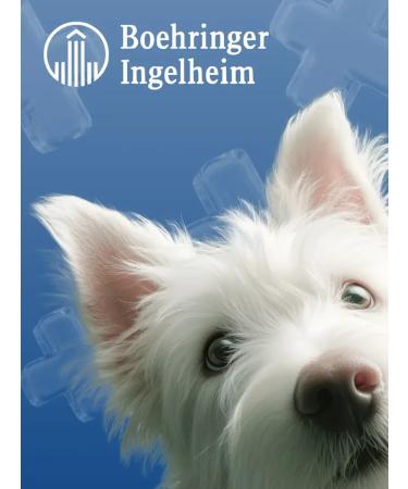 Boehringer Ingelheim Vetmedin S for dogs for the heart 10 mg (50 tablets) - Buy Online on GoSupps.com