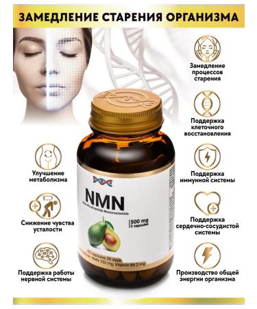 Energy Bio Systems BAD NMN nicotinomide mononucleotide b6 500 mg 60 capsules - Buy Online on GoSupps.com