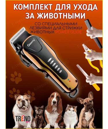 Yes indeed Carrying machine for dogs and cats -