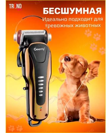 Yes indeed Carrying machine for dogs and cats - - Buy Online on GoSupps.com