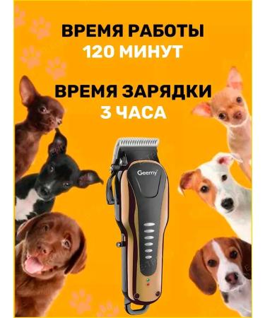 Yes indeed Carrying machine for dogs and cats - - Buy Online on GoSupps.com