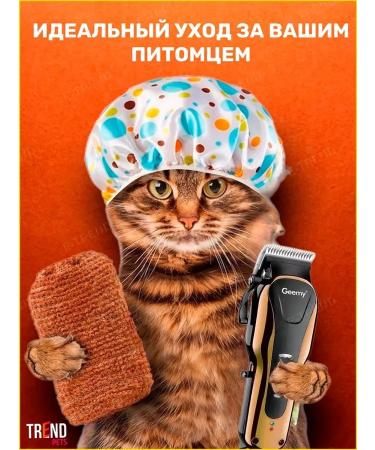 Yes indeed Carrying machine for dogs and cats - - Buy Online on GoSupps.com