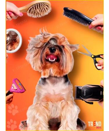 Yes indeed Carrying machine for dogs and cats - - Buy Online on GoSupps.com