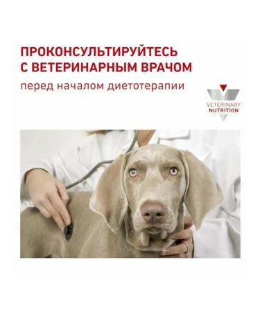 ROYAL CANIN Wet feed Hypoallergenic 400 g - Buy Online on GoSupps.com