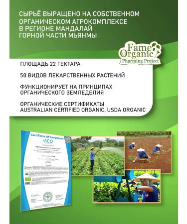 Fame Bad Daibicherb Momordica to support diabetes - Buy Online on GoSupps.com