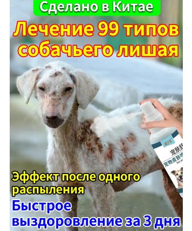 Itching spray for dogs is suitable for any age