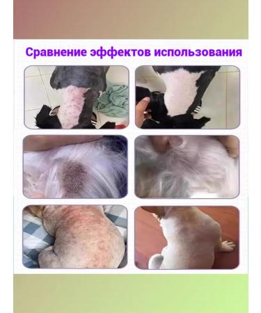 Itching spray for dogs is suitable for any age - Buy Online on GoSupps.com