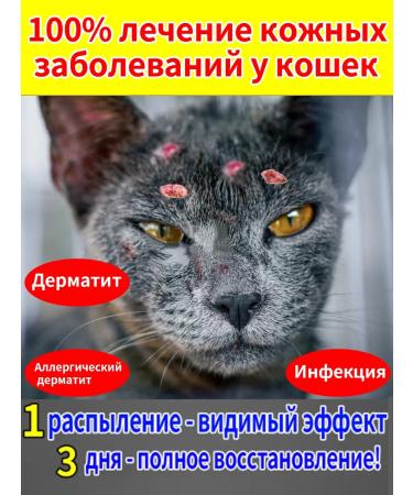 Treatment of dermatoses in cats of lichen erosion Zuda-1flakon-100ml
