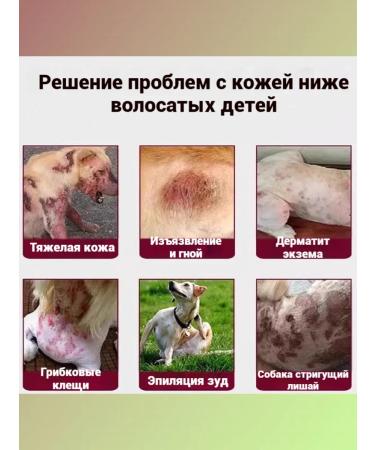 Treatment of dermatoses in cats of lichen erosion Zuda-1flakon-100ml - Buy Online on GoSupps.com