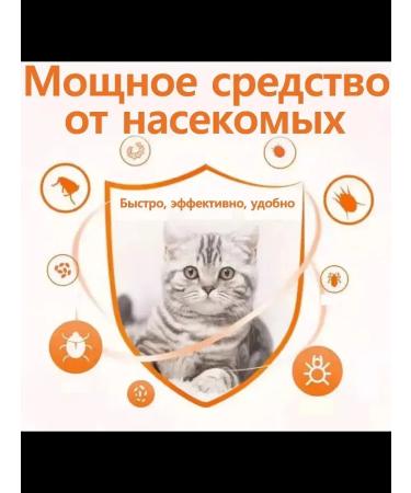 Spray from itching and combs for cats and dogs 3Flacon-100ml - Buy Online on GoSupps.com