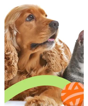 Spray from itching and combs for cats and dogs 1Flakon-100ml - Buy Online on GoSupps.com