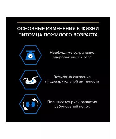 PRO PLAN Cat food 1.5 kg - Buy Online on GoSupps.com