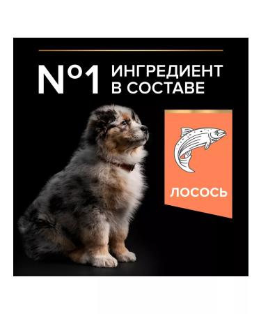 PRO PLAN Puppy feed 12 kg - Buy Online on GoSupps.com