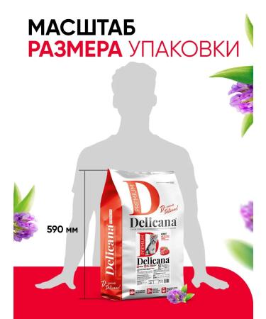 Delicana Dry food for dogs of small beef with vegetables 8 kg - Buy Online on GoSupps.com