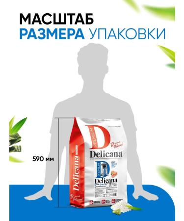 Delicana Dry feed for dogs of small breeds salmon with rice 8 kg - Buy Online on GoSupps.com