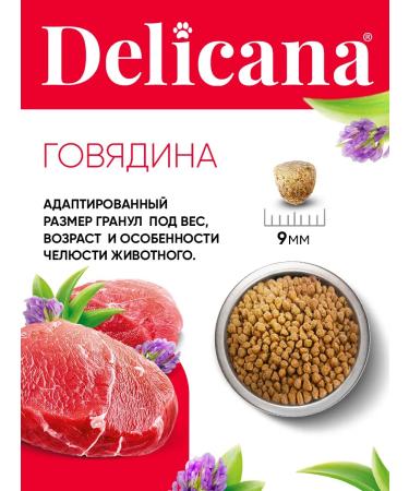 Delicana Dry food for dogs of small beef 8 kg - Buy Online on GoSupps.com