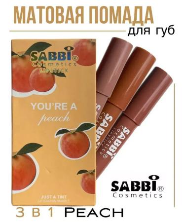 Sabbi Cosmetics Set of lipstick lip pencil matte persistent 3pcs