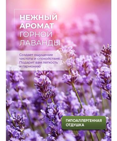 Klios Liquid soap for hands and body lavender and coconut 5l x 2 pcs - Buy Online on GoSupps.com