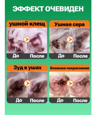 Hargon drops with antibacterial for cats and dogs 60ml - Buy Online on GoSupps.com