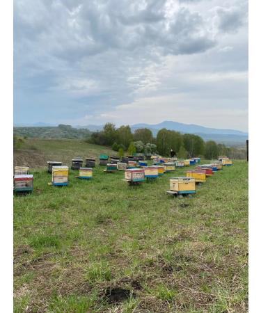 Honey multi -traffic 1 kg collection 2025 g - Buy Online on GoSupps.com