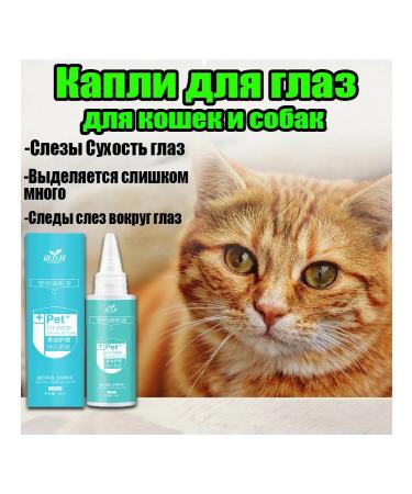 Eye care for dogs and cats