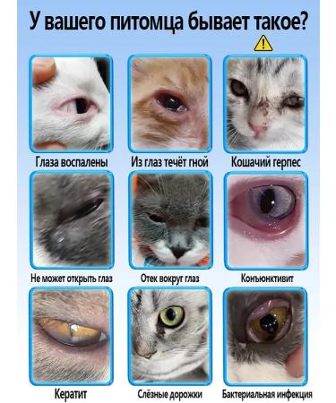 Eye care for dogs and cats - Buy Online on GoSupps.com