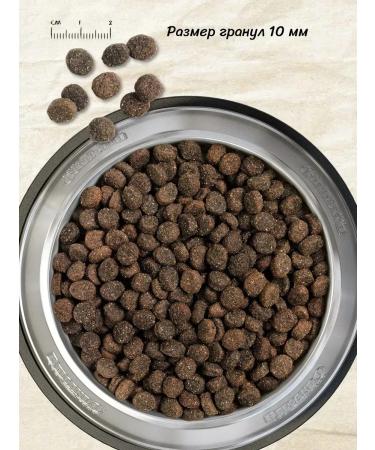 Belcando Dry food for dogs Finest GF with lamb 12.5 kg - Buy Online on GoSupps.com