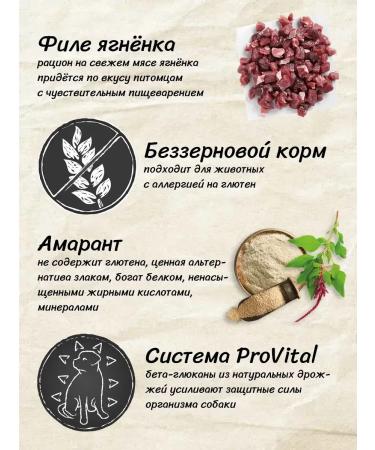 Belcando Dry food for dogs Finest GF with lamb 12.5 kg - Buy Online on GoSupps.com