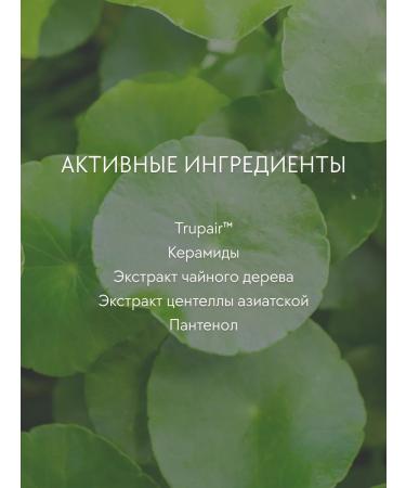 d'Alba Sensitive leather set - Buy Online on GoSupps.com