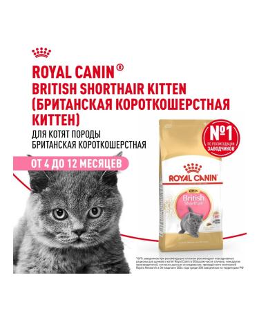 ROYAL CANIN Dry food for British Shorthair kittens 2 kg