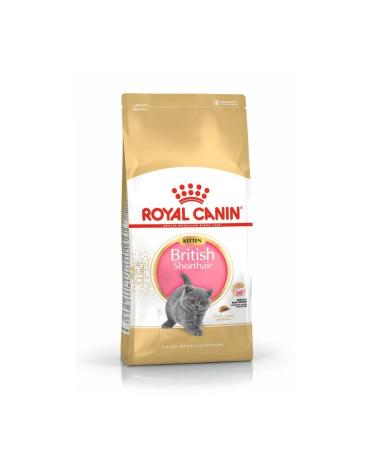 ROYAL CANIN Dry food for British Shorthair kittens 2 kg - Buy Online on GoSupps.com